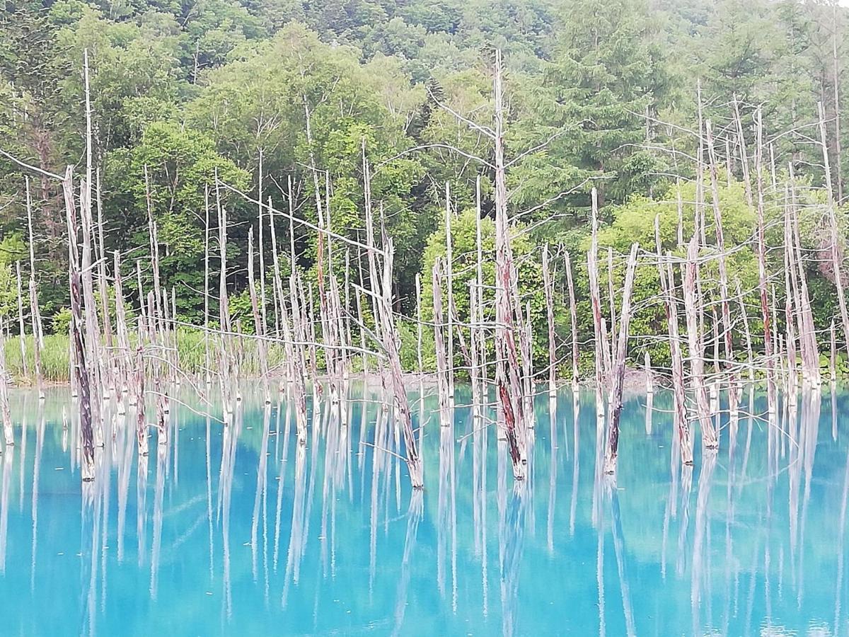 Hotel Hanafuji Inn Nakafurano Εξωτερικό φωτογραφία